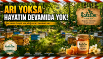 ARI YOKSA HAYATIN DEVAMI DA YOK!