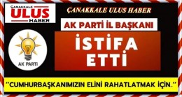 ÇANAKKALE DE YAPRAK DÖKÜMÜ İLK BAHARDA BAŞLADI…!