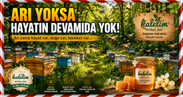 ARI YOKSA HAYATIN DEVAMI DA YOK!