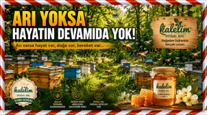 ARI YOKSA HAYATIN DEVAMI DA YOK!