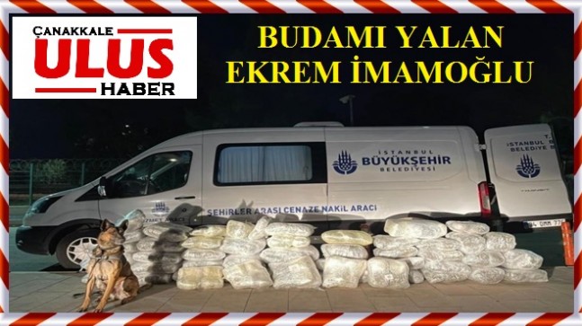 BUDAMI YALAN…!