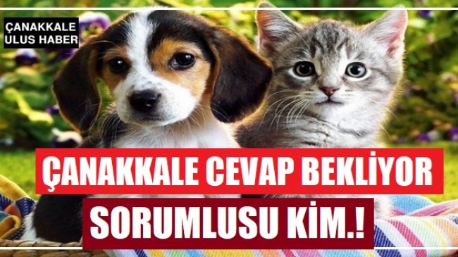 SKANDAL GÖRÜNTÜLERE TEPKİLER BÜYÜK.!