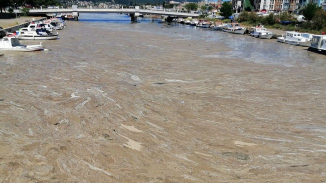 ÇANAKKALE SARIÇAY YARDIMA MUHTAÇ