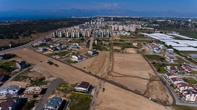 Antalya’da şehrin göbeğine buğday tarlası